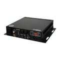 EA-MINI-SUB-1D-100 mini subwoofer amplifier
